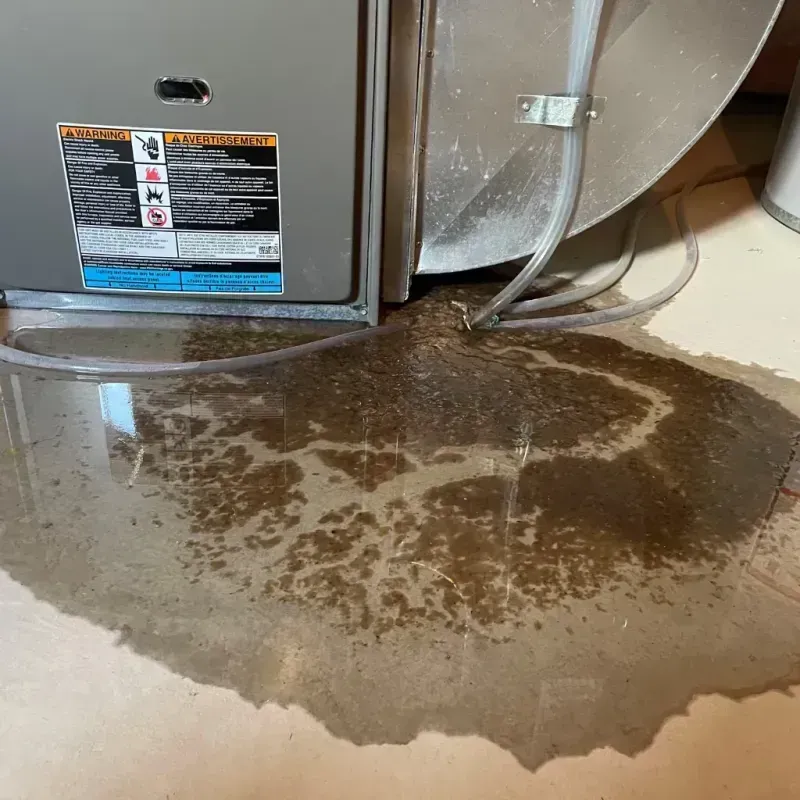 Appliance Leak Cleanup in Cactus Flat, AZ